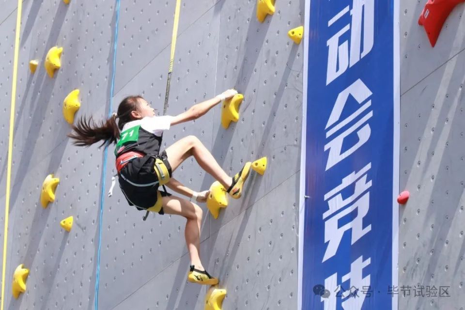 冲上高峰，选手战胜困难闪耀赛场的简单介绍