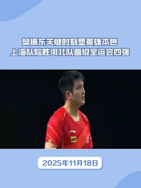 葡萄牙队逆转法国队，樊振东关键制胜的简单介绍